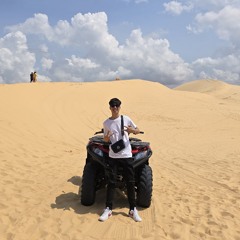 DJ Học Louis