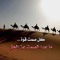 ودي ودي