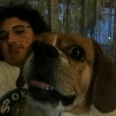 💔 Lil Muppet 💔