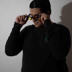 Sergio Goyri Luna