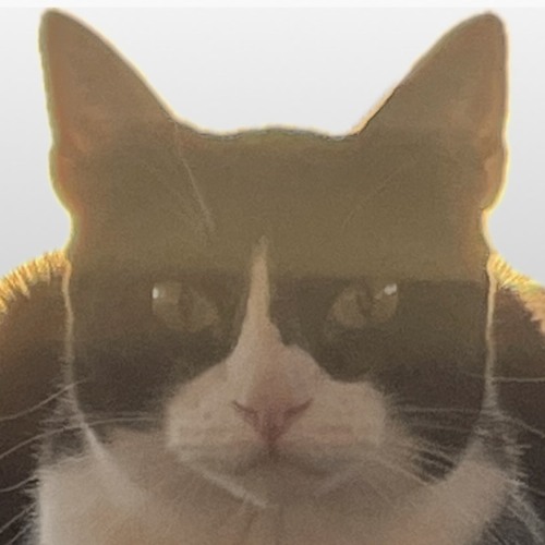 Alicia Keys- so (FXN) simple