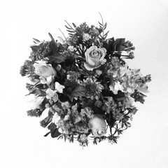 flowerboy