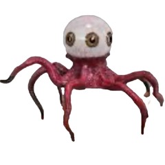 SoloBJones