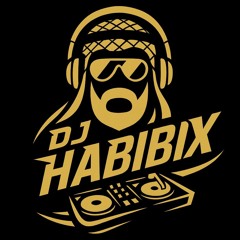 Dj-habibiX