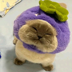 SOFIEEE