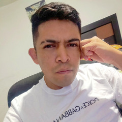 Luis hdz