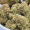 weedziaz38