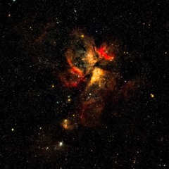 cecilia-b
