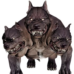 CXRBXRUS