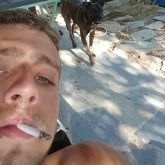 sArDe