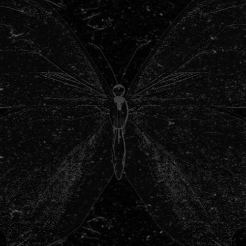 Requiem Cult’s avatar
