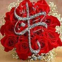 Zeinab Gomaa
