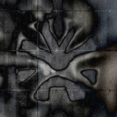 Lyaeus