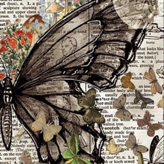 🇵🇸🦋 Butterfly 🦋 🇵🇸
