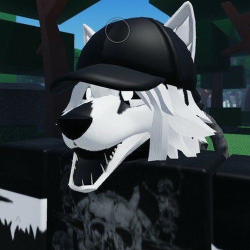 096 loop