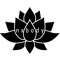 nxbody