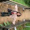 Denisse