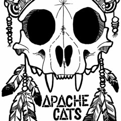 Apache Cats