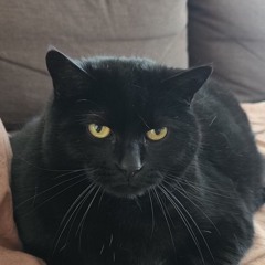 Ben