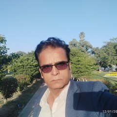 Yaseen Babbar