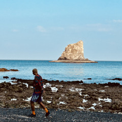 ahmed wahba