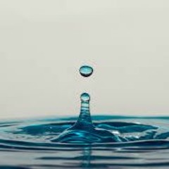 Liquid
