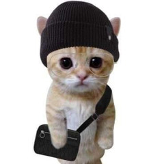 IIIIIss