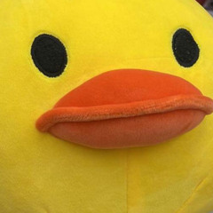 Hducky