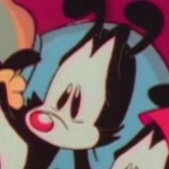 yakko stan yea yea