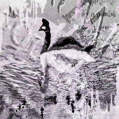 ©©© ·®¿2¶»©· ̧ 1⁄2±3