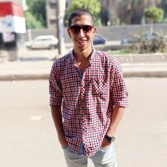 Mahmoud M Kassab