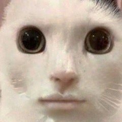 DedLilBoy