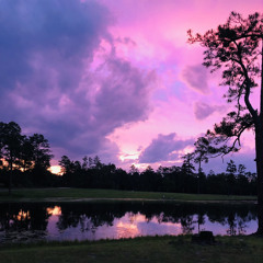 DeepSouthLowBottomGirl