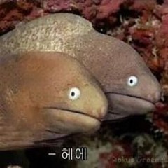 이지환
