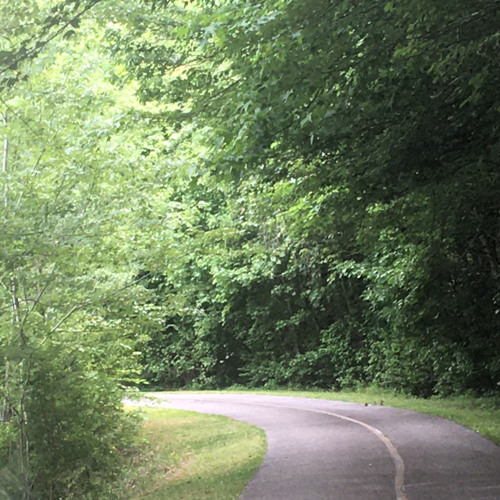 Stream orange juice intro ale x rozie.mp3 by nevie Listen online for