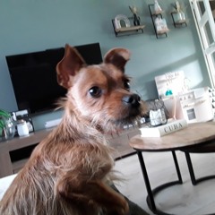 Floyd