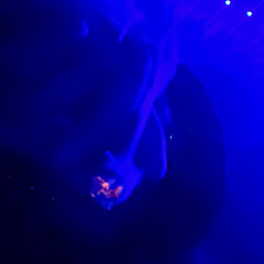 stxcked.up