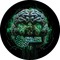 The Global DNB Collective