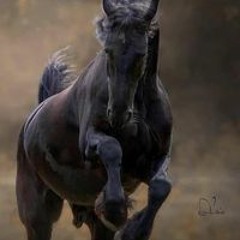 Hoang Hiep Dang