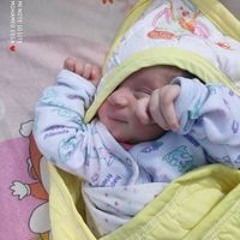 Mohamed Essa