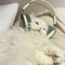 DJ Sammy K