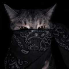 S1CATORE