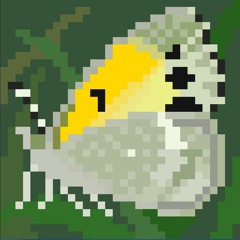 Neil Alexander Decker