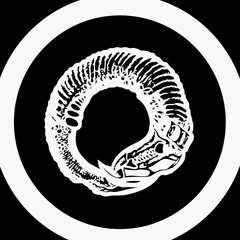 Wormholedeath Records