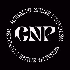 Cosmic Noise Pudding