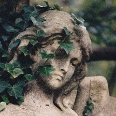 IVY