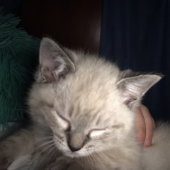 peaches hess 💍🥰