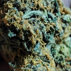 BOUNC3