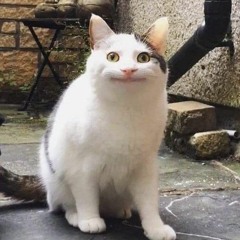 janet
