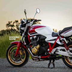 محمدرضا صادقی